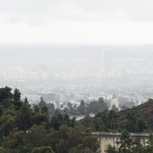 Hrabstwo Los Angeles ogłosiło stan nadzwyczajny 