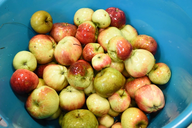 Wizyta w domu roku propedeutycznego