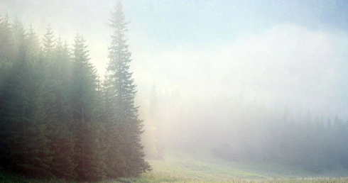 Hala Gąsienicowa i inne obrazki tatrzańskie