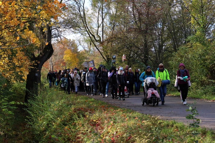 46. Piesza Pielgrzymka Wrocławska do grobu św. Jadwigi - cz. 7