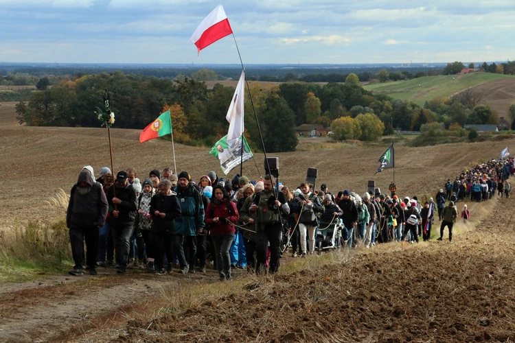 46. Piesza Pielgrzymka Wrocławska do grobu św. Jadwigi - cz. 8