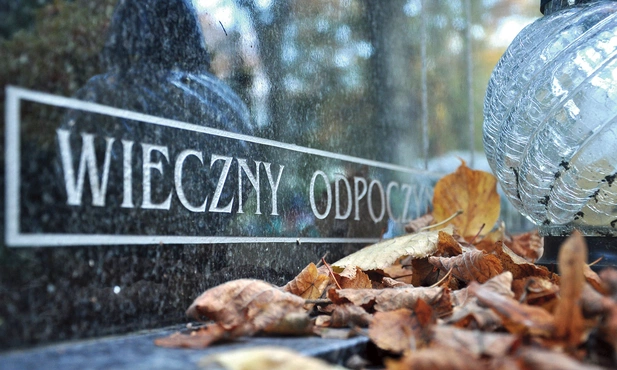 Znicz to nie wszystko 