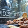 Znicz to nie wszystko 