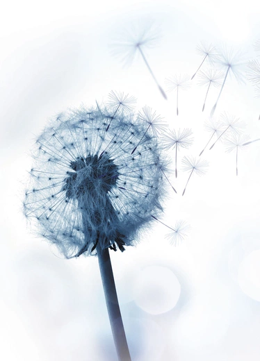 Bóg nie postępuje z nami według naszych grzechów. Nie ma w nim mentalności świata, według której za winę trzeba ponieść sprawiedliwą – według ludzkiej miary – karę. 