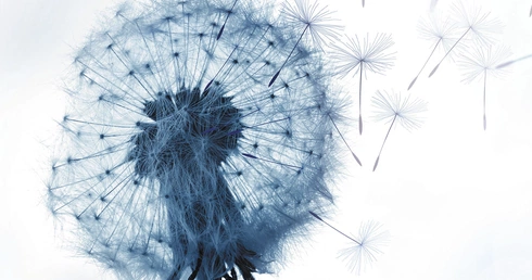 Bóg nie postępuje z nami według naszych grzechów. Nie ma w nim mentalności świata, według której za winę trzeba ponieść sprawiedliwą – według ludzkiej miary – karę. 