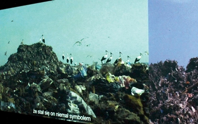 Fragment instalacji wideo „Bocian, święty ptak” Diany Lelonek.