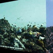 Fragment instalacji wideo „Bocian, święty ptak” Diany Lelonek.