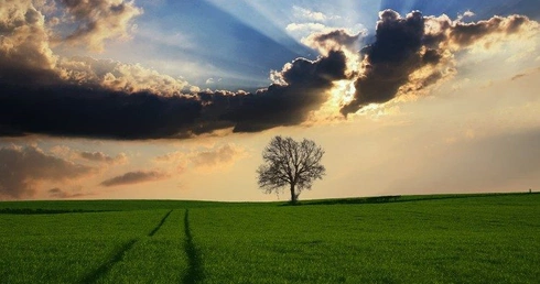 Coraz mniej młodych Amerykanów identyfikuje się jako transpłciowi 