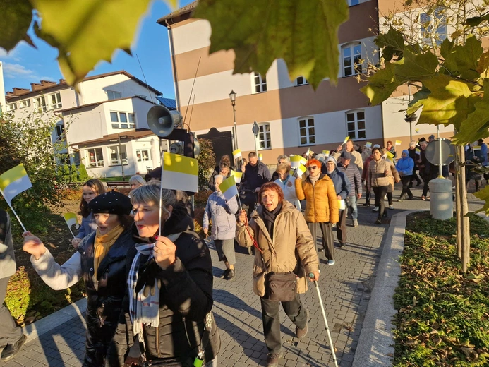 Marsz dla Życia i Rodziny w Muszynie