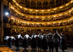 Opera z kotem na kolanach