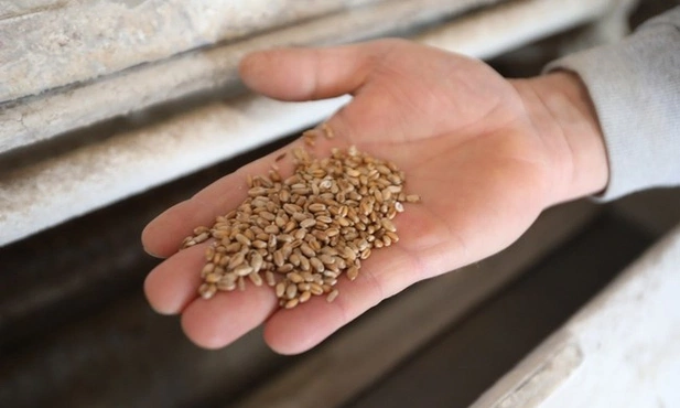 Don Camillo i spowiednik