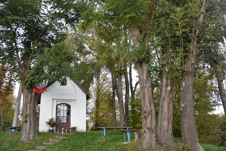 Spotkanie z cudowną kapliczką