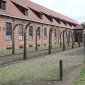 Ks. Scąber o przyszłych błogosławionych salezjanach: Bronią wiarygodności kapłaństwa