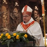 Synod Archidiecezji Wrocławskiej. Kolejny krok