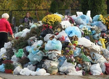 Spotkania z przyrodą: Sztuczne oddychanie