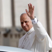 Opublikowano program papieskiej podróży do Turcji i Libanu