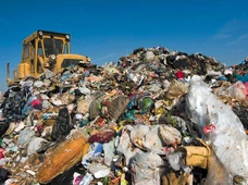 Czy Polska faktycznie jest śmietnikiem Europy?