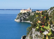 Okno na świat. Reportaż z Triestu, stolicy kawy i literatury