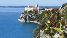 Okno na świat. Reportaż z Triestu, stolicy kawy i literatury