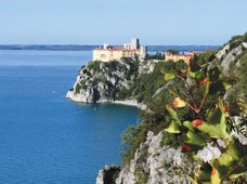 Okno na świat. Reportaż z Triestu, stolicy kawy i literatury