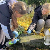Harcerze porządkują nekropolie