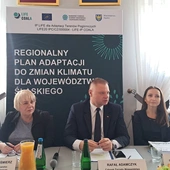 Śląskie. Przygotowano i zatwierdzono "Regionalny Plan Adaptacji do Zmian Klimatu"