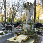 Między lipami i ciszą. Historia lubelskiego Panteonu