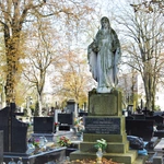 Między lipami i ciszą. Historia lubelskiego Panteonu