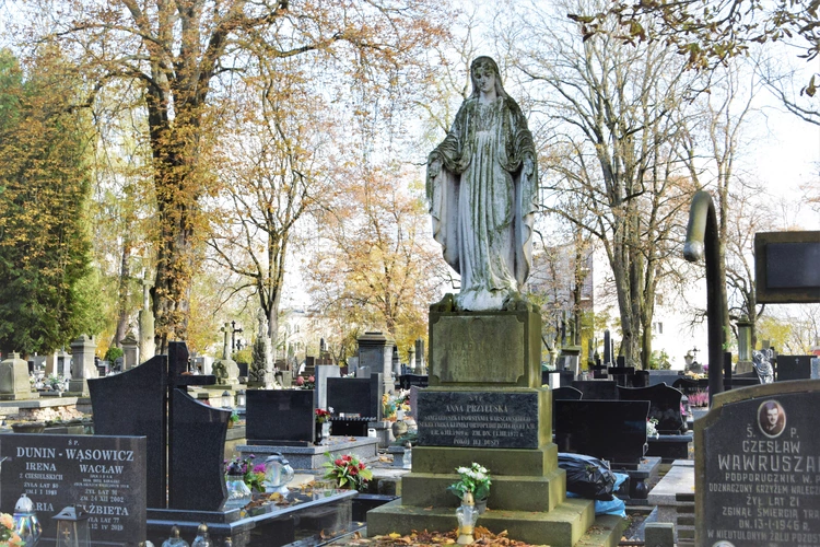 Między lipami i ciszą. Historia lubelskiego Panteonu