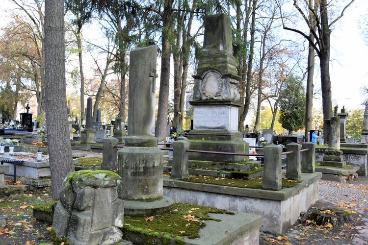 Między lipami i ciszą. Historia lubelskiego Panteonu