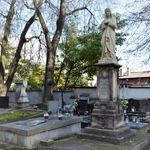 Między lipami i ciszą. Historia lubelskiego Panteonu