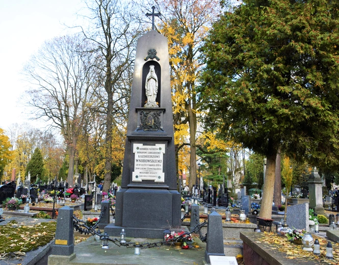 Między lipami i ciszą. Historia lubelskiego Panteonu