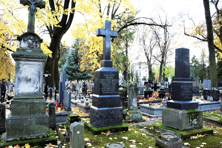 Między lipami i ciszą. Historia lubelskiego Panteonu