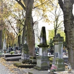 Między lipami i ciszą. Historia lubelskiego Panteonu