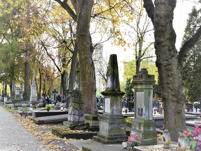 Między lipami i ciszą. Historia lubelskiego Panteonu