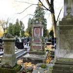 Między lipami i ciszą. Historia lubelskiego Panteonu