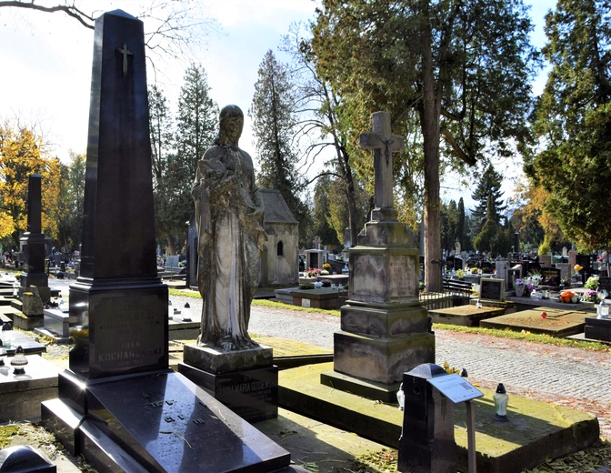 Między lipami i ciszą. Historia lubelskiego Panteonu