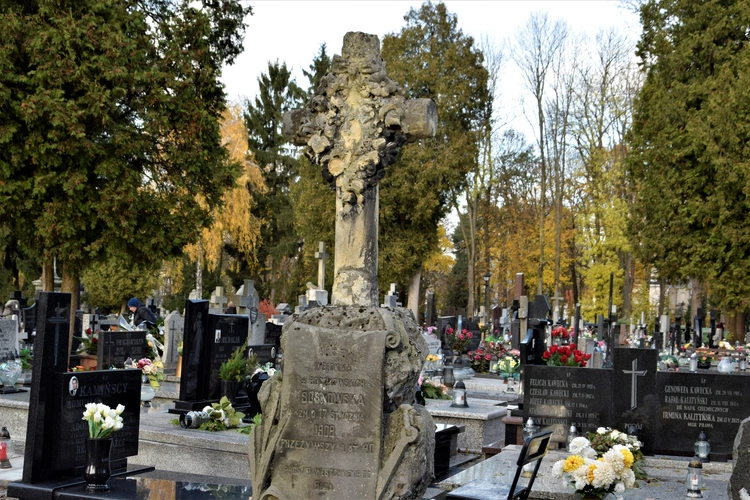 Między lipami i ciszą. Historia lubelskiego Panteonu