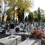 Między lipami i ciszą. Historia lubelskiego Panteonu