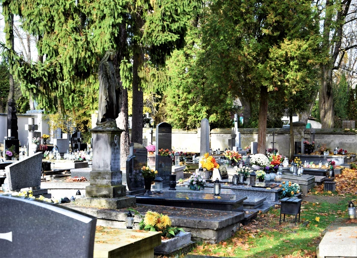 Między lipami i ciszą. Historia lubelskiego Panteonu