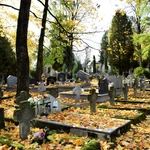 Między lipami i ciszą. Historia lubelskiego Panteonu