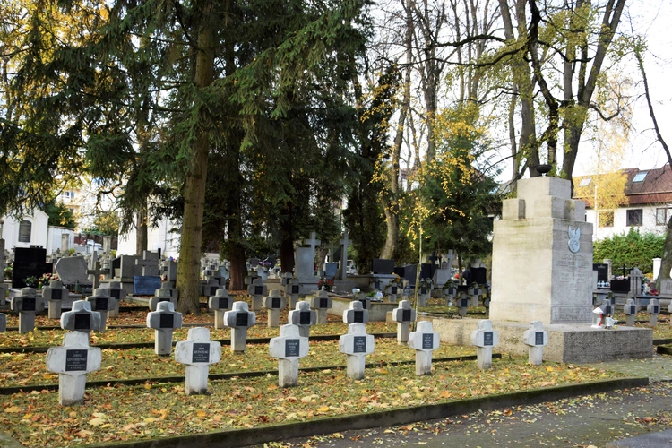 Między lipami i ciszą. Historia lubelskiego Panteonu