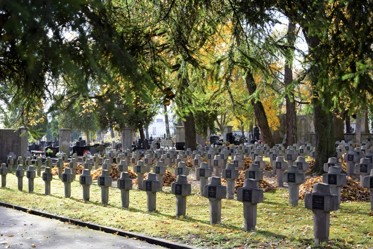 Między lipami i ciszą. Historia lubelskiego Panteonu