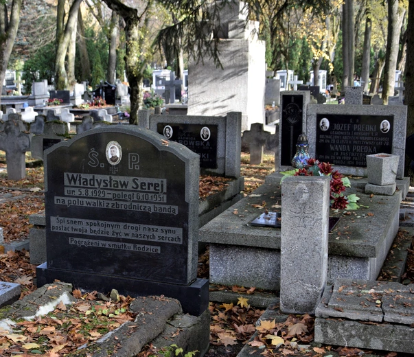 Między lipami i ciszą. Historia lubelskiego Panteonu