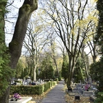 Między lipami i ciszą. Historia lubelskiego Panteonu