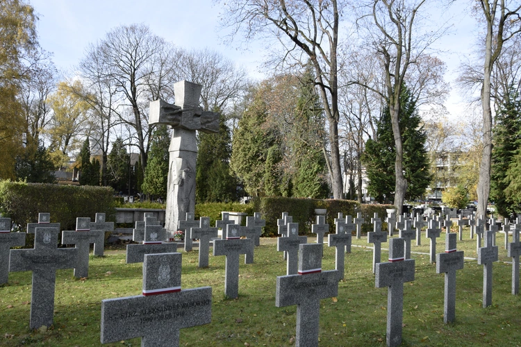 Między lipami i ciszą. Historia lubelskiego Panteonu