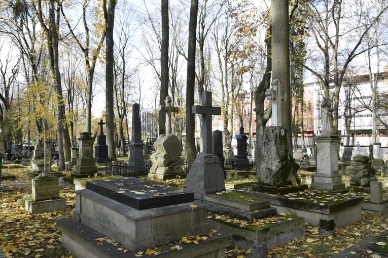 Między lipami i ciszą. Historia lubelskiego Panteonu