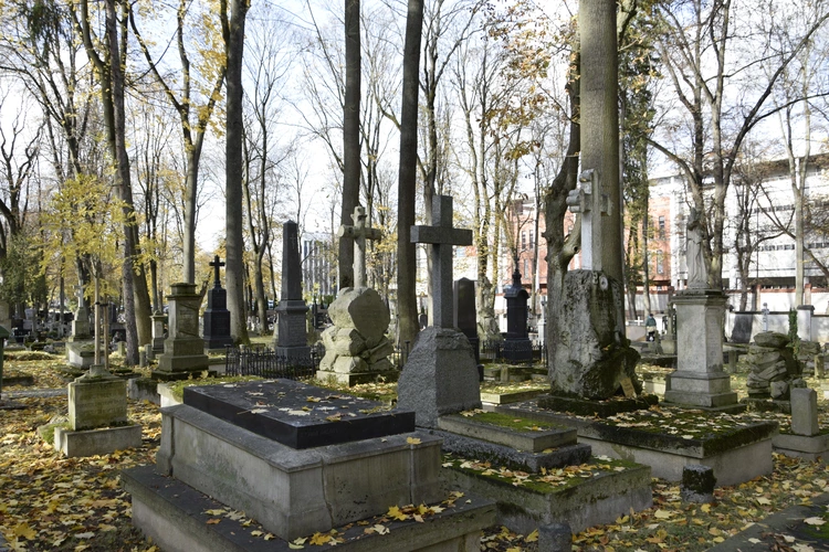 Między lipami i ciszą. Historia lubelskiego Panteonu