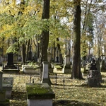 Między lipami i ciszą. Historia lubelskiego Panteonu