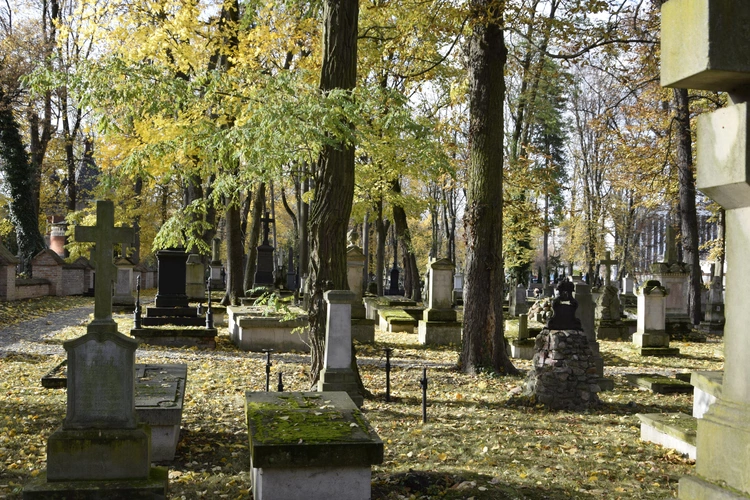Między lipami i ciszą. Historia lubelskiego Panteonu